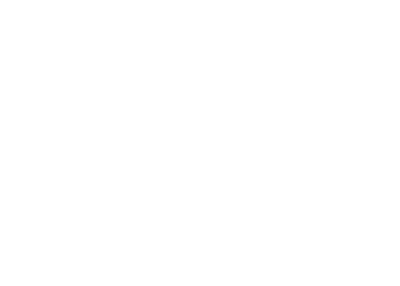 IQ Equipment - sprzęt do pilatesu